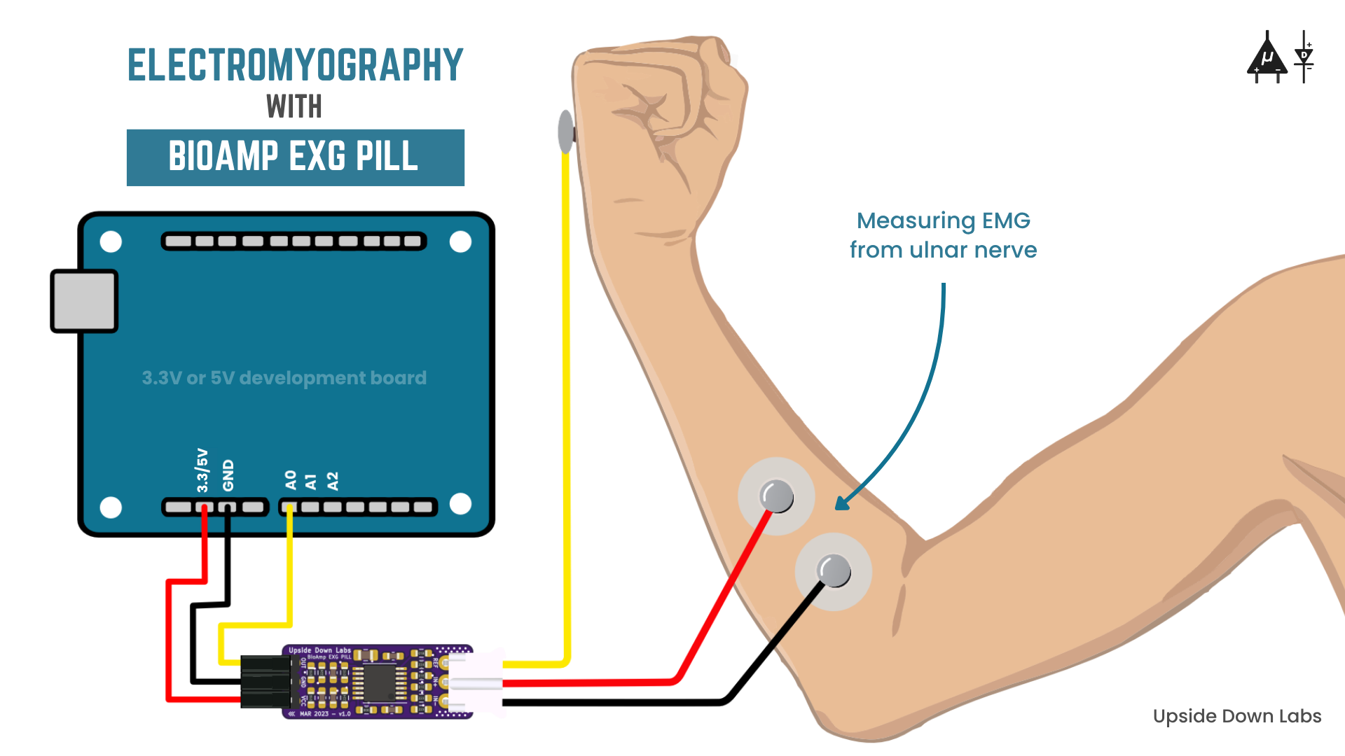 Bioamp Sensor BioAmp EXG Pill - BioPotential Sensor for EMG, ECG, EOG, EEG | Upside ...