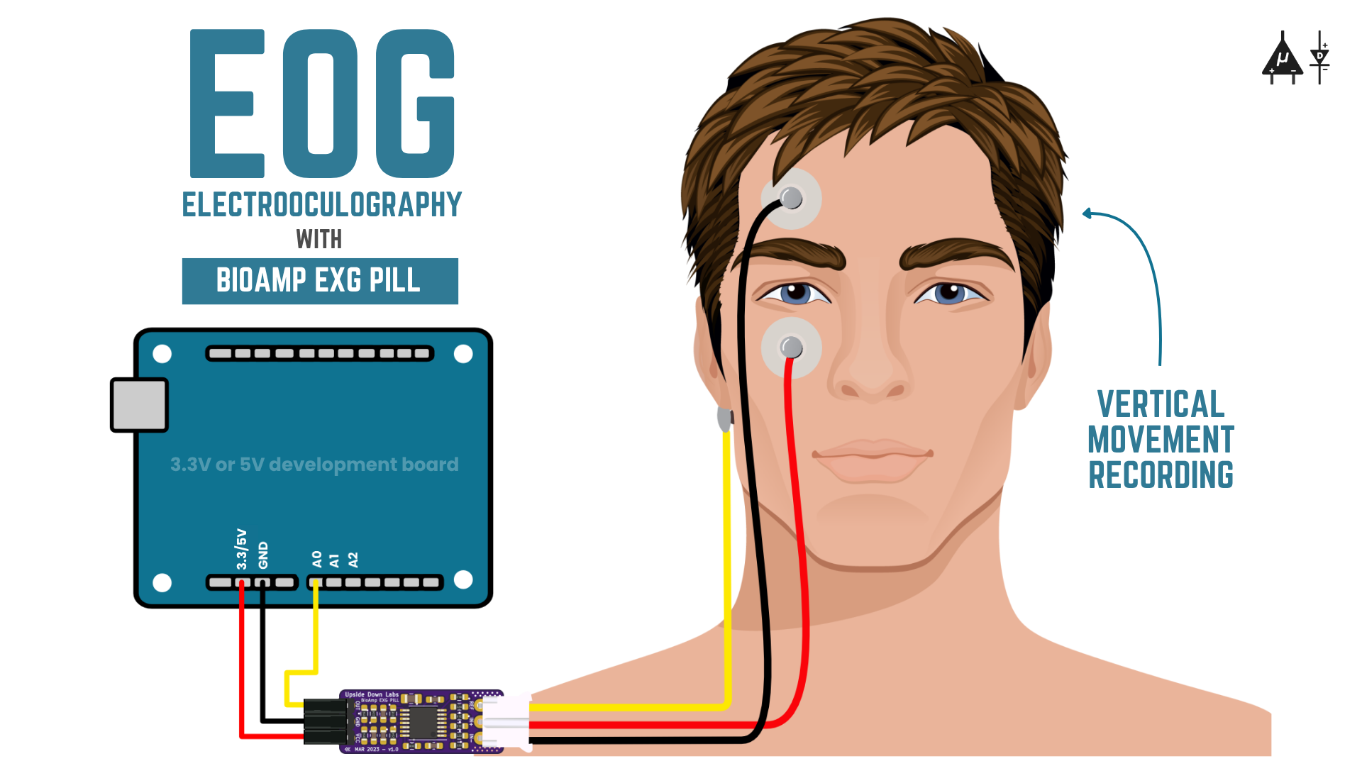 BioAmp EXG Pill - BioPotential Sensor for EMG, ECG, EOG, EEG | Upside ...