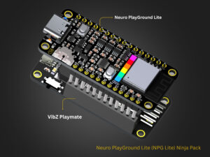 Neuro PlayGround Lite (NPG Lite) Ninja Pack