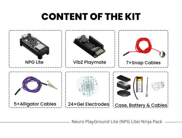 Neuro PlayGround Lite (NPG Lite) Ninja Pack