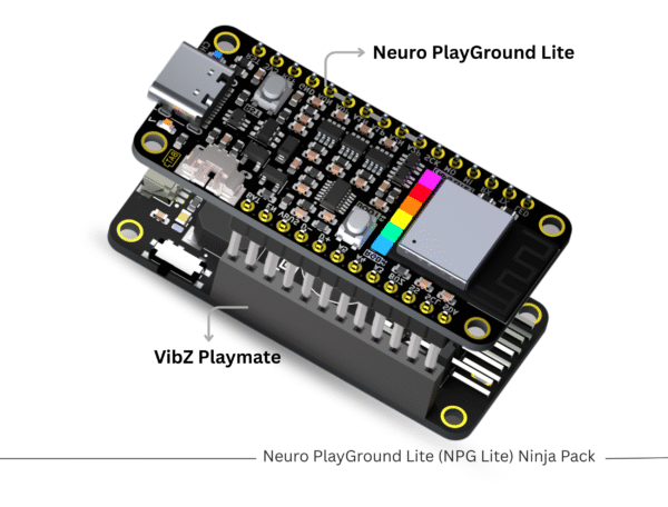 Neuro PlayGround Lite (NPG Lite) Ninja Pack